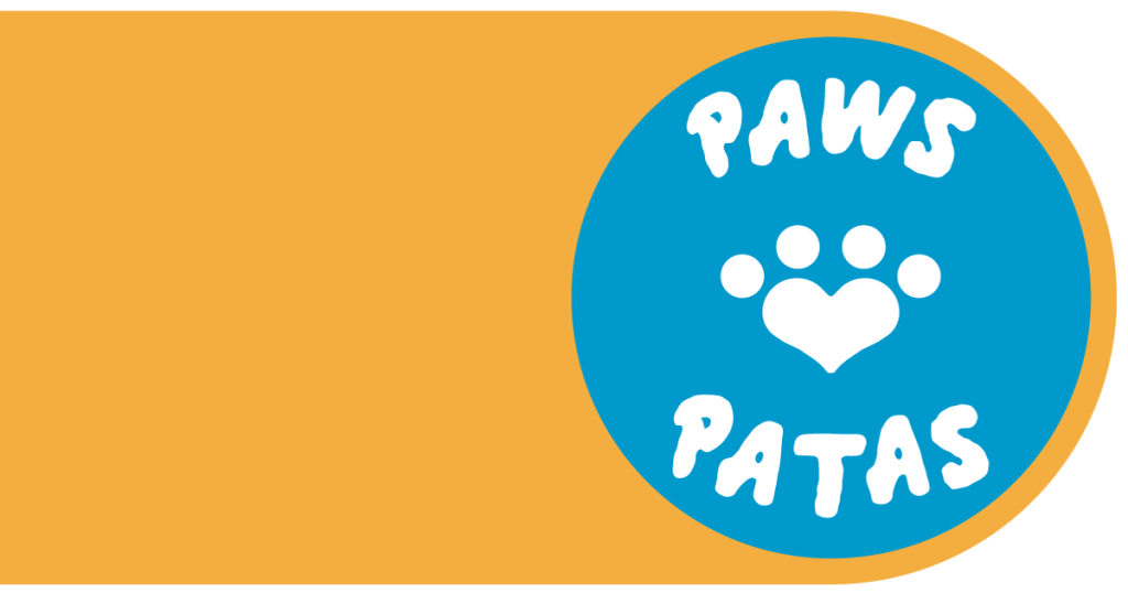 Home 11 paws patas spain 2025 1200 x 630